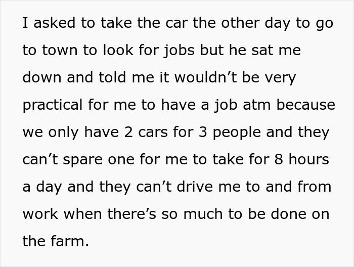 Woman Gets Into Fight With Husband And His Family After Refusing To Be A Stay-At-Home Mom, Asks The Internet For Advice - 6