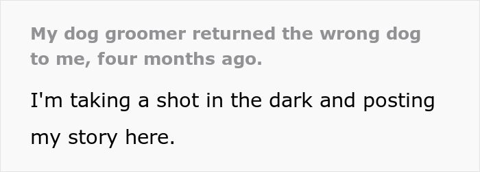 "Mentally, She Was Not There": Person Gets Their Dog Back From The Groomer, Realizes It’s Acting Weird But Keeps Living With It For Four Months Until The Truth Comes Out "Mentally, She Was Not There": Person Gets Their Dog Back From The Groomer, Realizes It’s Acting Weird But Keeps Living With It For Four Months Until The Truth Comes Out