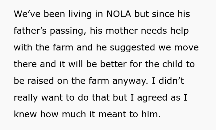 Woman Gets Into Fight With Husband And His Family After Refusing To Be A Stay-At-Home Mom, Asks The Internet For Advice - 4