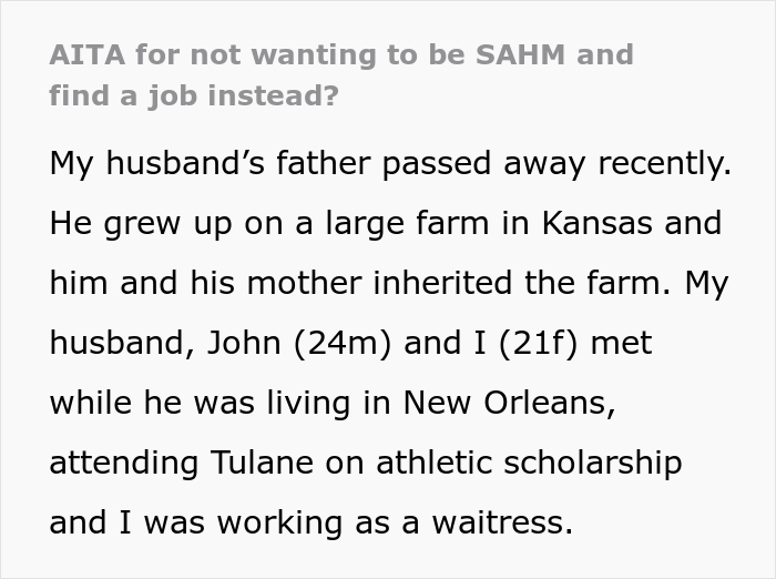 Woman Gets Into Fight With Husband And His Family After Refusing To Be A Stay-At-Home Mom, Asks The Internet For Advice - 2