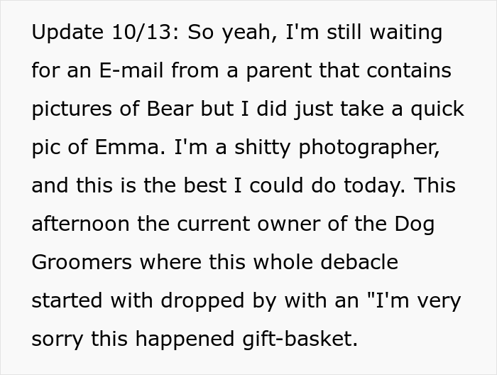 "Mentally, She Was Not There": Person Gets Their Dog Back From The Groomer, Realizes It’s Acting Weird But Keeps Living With It For Four Months Until The Truth Comes Out "Mentally, She Was Not There": Person Gets Their Dog Back From The Groomer, Realizes It’s Acting Weird But Keeps Living With It For Four Months Until The Truth Comes Out