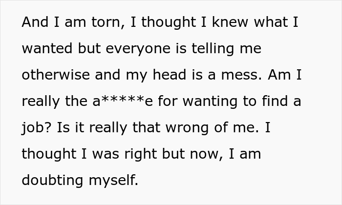 Woman Gets Into Fight With Husband And His Family After Refusing To Be A Stay-At-Home Mom, Asks The Internet For Advice - 16
