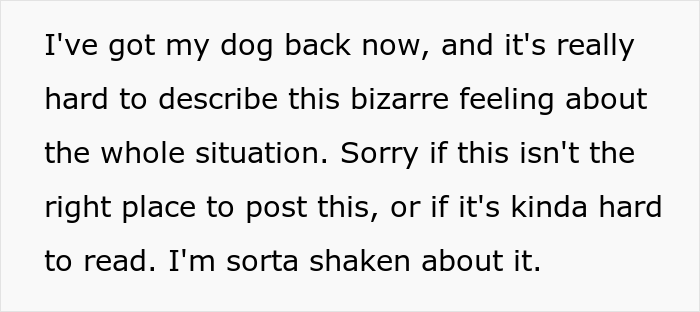 "Mentally, She Was Not There": Person Gets Their Dog Back From The Groomer, Realizes It’s Acting Weird But Keeps Living With It For Four Months Until The Truth Comes Out "Mentally, She Was Not There": Person Gets Their Dog Back From The Groomer, Realizes It’s Acting Weird But Keeps Living With It For Four Months Until The Truth Comes Out