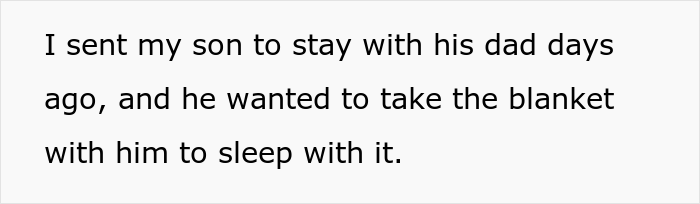 Family Drama Arises As Ex's New Girlfriend Throws Out 3 Y.O. Step-Son's Homemade Blanket, Mom Sets Her Straight By Complaining To In-Laws - 7