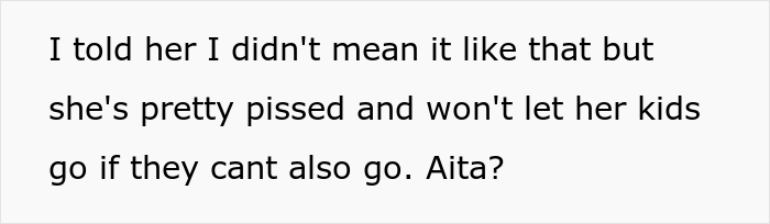 Kids' Mom Is Angry After Their Aunt Invites Everyone To Disney World Except Her And Husband - 9