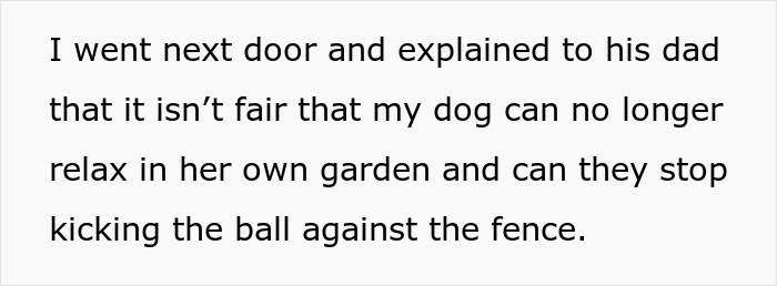 Person Refuses To Put Up With Neighbor's Kid After One Of The Balls He's Constantly Kicking Over The Fence Hits Their Puppy - 5