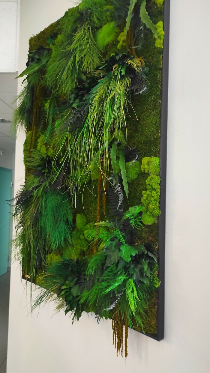 When You Go To See A Doctor About Possibly Having Dust Allergy, And This Is In Their Lobby