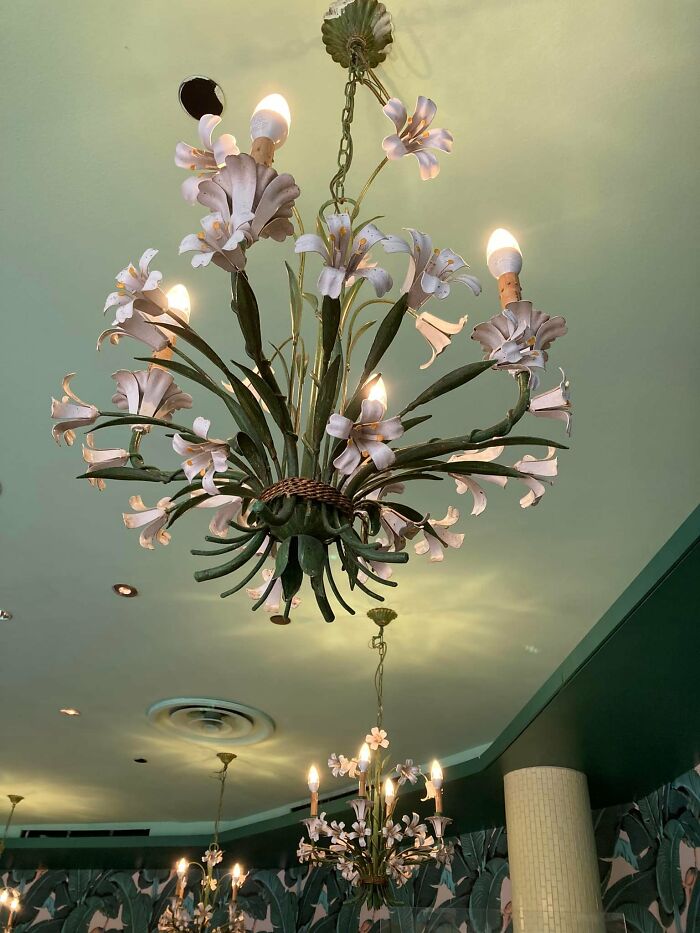 These Restaurant Chandeliers
