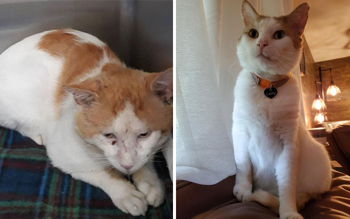 A Year And A Half Later