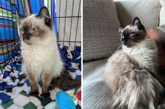 Before And After! My Pretty Girl