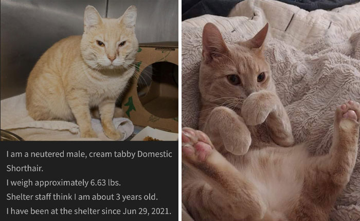 He's Gained 4 Pounds And Looks Significantly Less Pissed