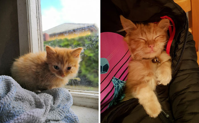 Jeremy Is The King Of The House