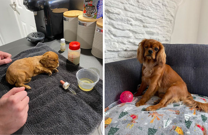 Brought Our Little Bean Home In A Chinese Take Away Box After Her Eye Ruptured Due To Infection. She Celebrated Her First Birthday Last November!