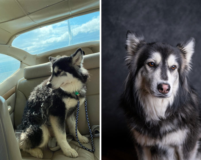 The Day I Picked Her Up, A Few Days Later, And A Few Years Later!