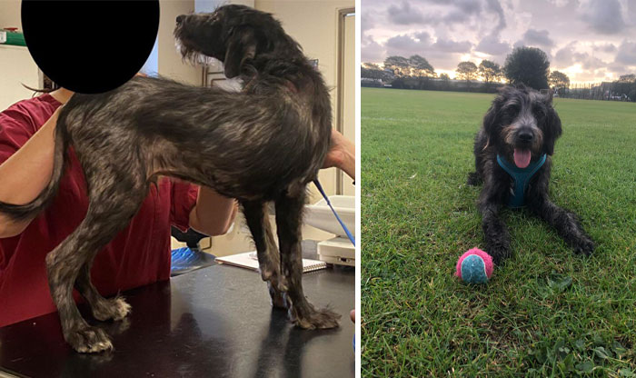 Meet Tom! 7 Months Post-Adoption And We’re Going Strong!