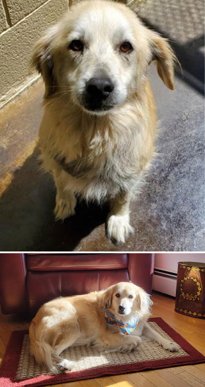 Nuestra chica mayor a los 6 meses de su jubilación