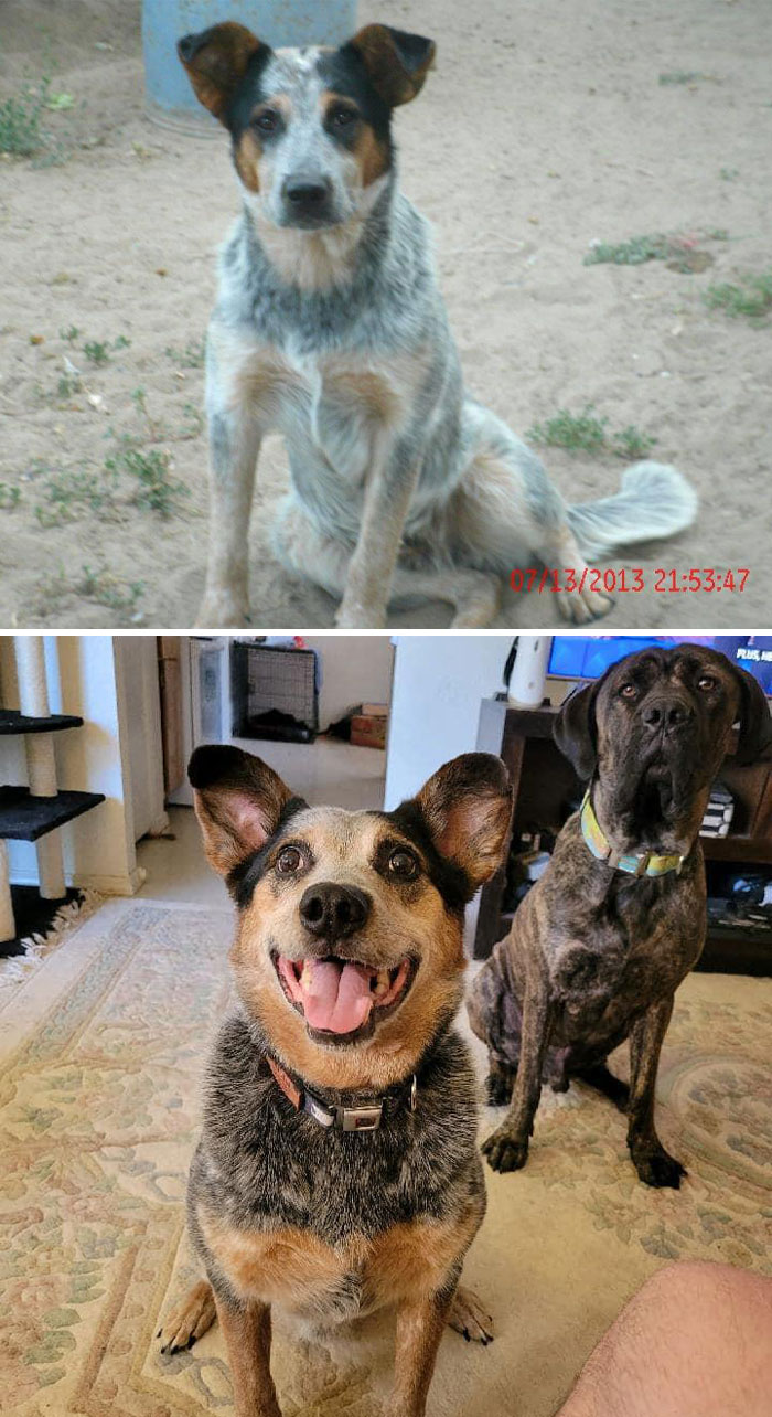 My Sister’s First Dog, Boone!