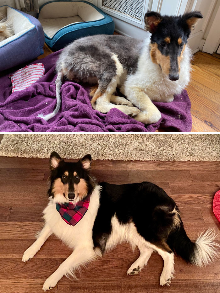 La llamaron Possum (Zarigüeya) debido a cómo tenía la cola, pero no estoy seguro de que eso sea aplicable ahora