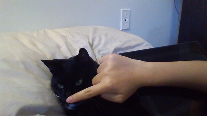 Yeah. Only This Makes Me Happi.