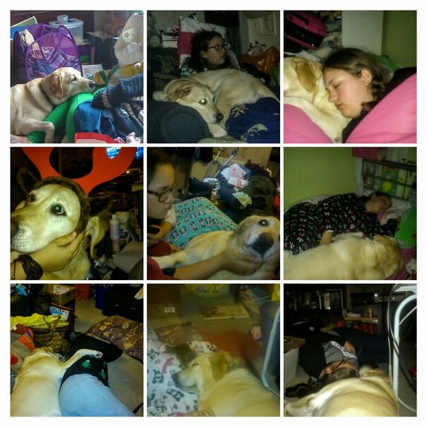 This Pair! Although, Tbh, My Whole Fam Is Very Weird And Proud Of It! ❤️💜❤️