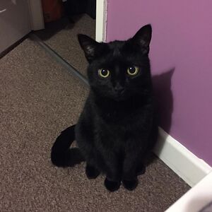 alexandraioanaradu avatar