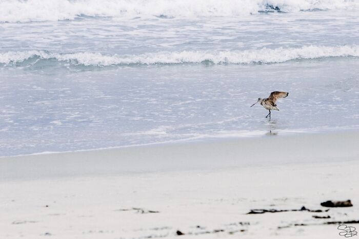 It's Simple, But Still One Of My Fave Beach Shots