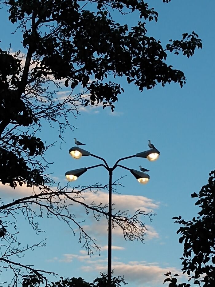 Idk What To Caption This So Comment It Ig