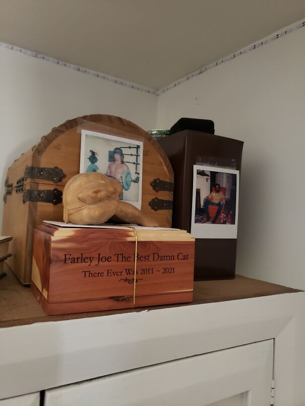 My Growing Collection Of Ashes Of Loved Ones.