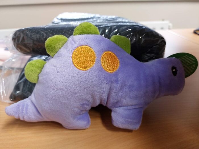 Dinosaur Plushe For My Cat