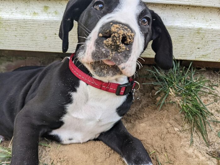 My Silly Boy. He Has Brought Me So Much Joy.