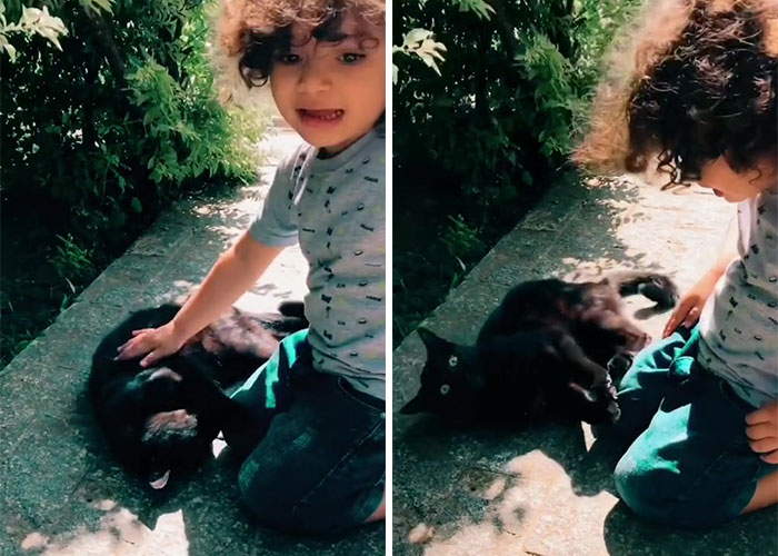 Millions Of People Rejoice At Hilarious Video Of Cat Rescuing House Keys From Hole - 6