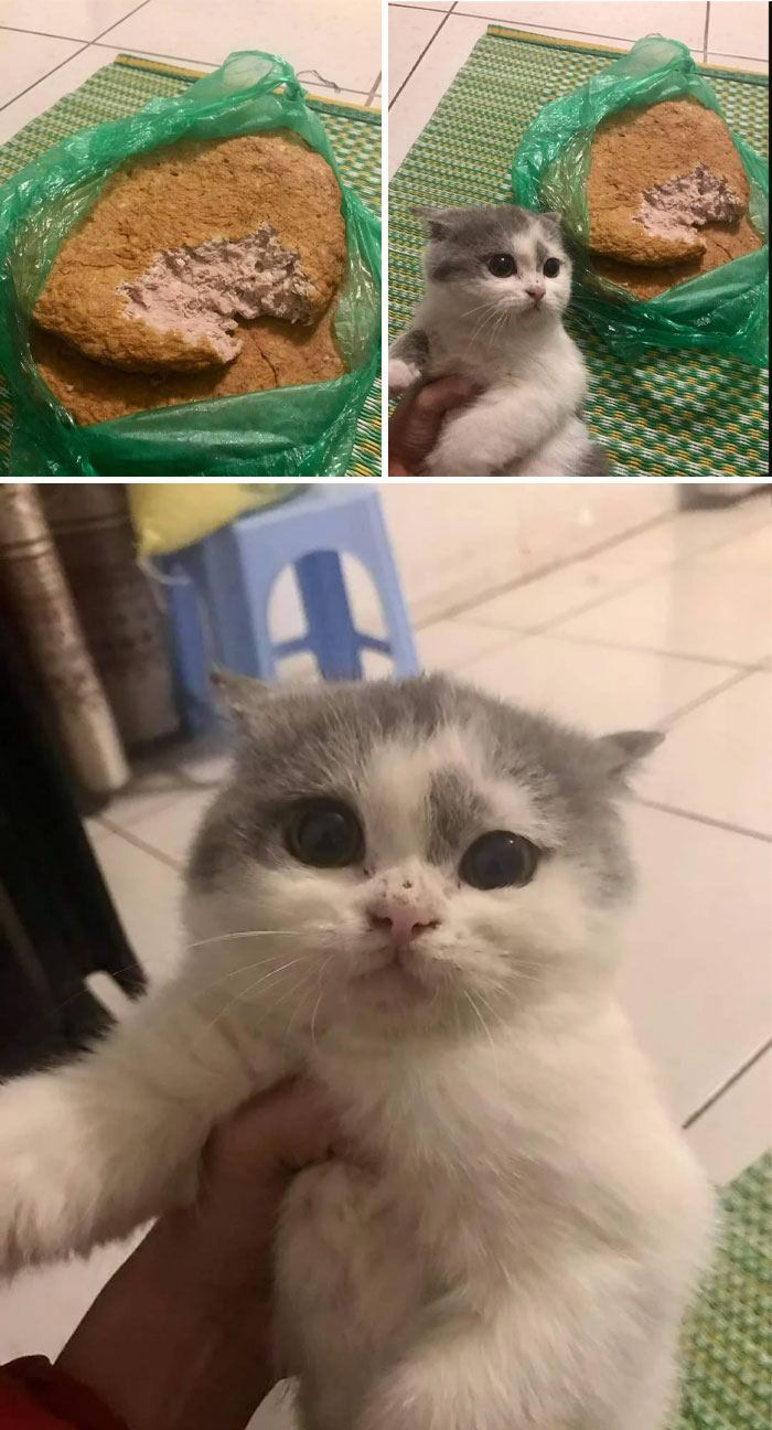 Thief Caught Sending To Jail Soon!!!!