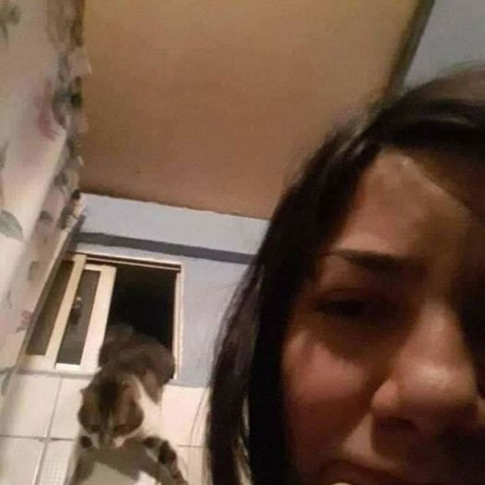 Cats-With-Threatening-Auras