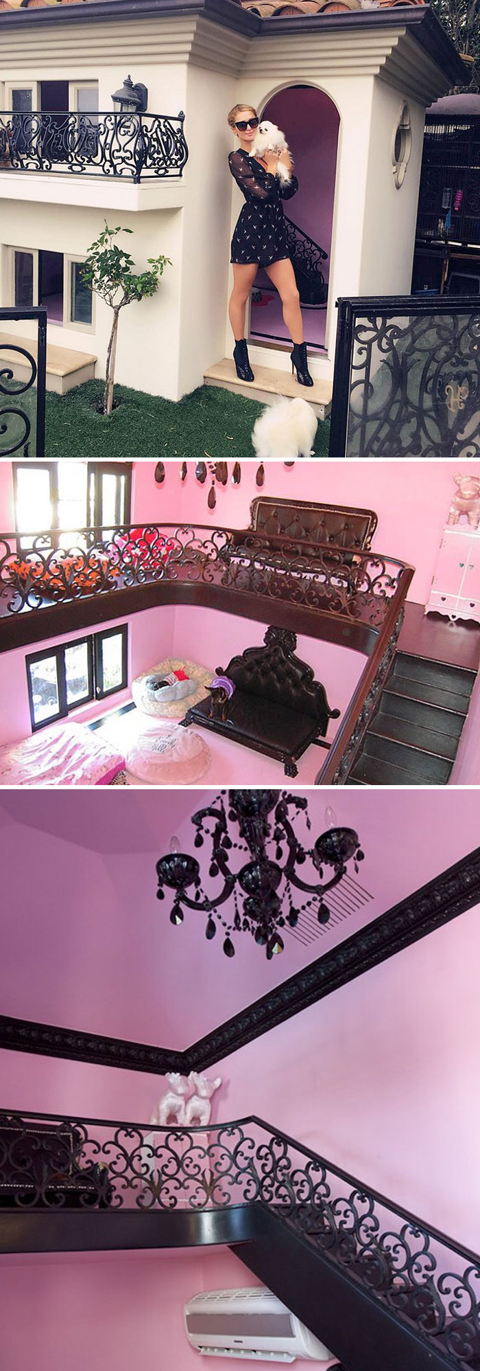 Celebrity flaunting wealth with a lavish pink dog house, intricate interior, and ornate designs.