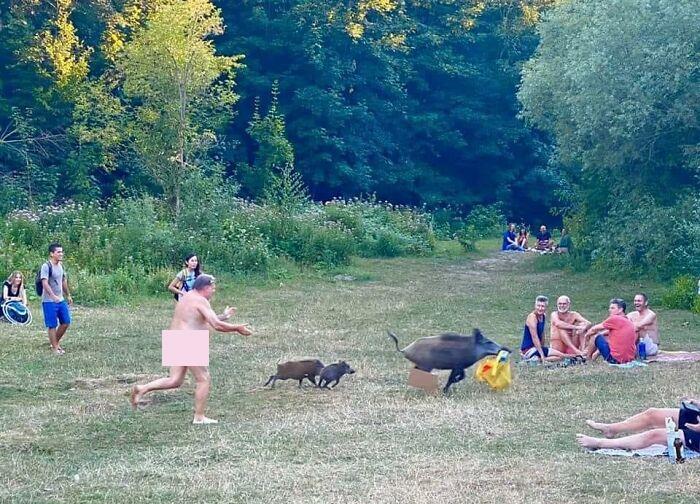 35 Funny “Images With A Lot Of Stuff Going On” That Get Weirder The Longer You Look At Them