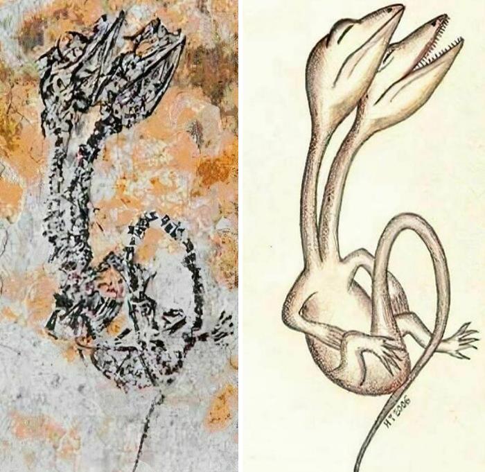 A 120-145 Million Year Old Dinosaur With Two Heads Was Found In Yixian, China