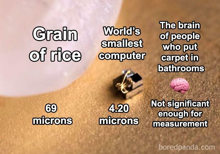 Meme comparing a grain of rice, world’s smallest computer, and the brain of people who put carpet in bathrooms.