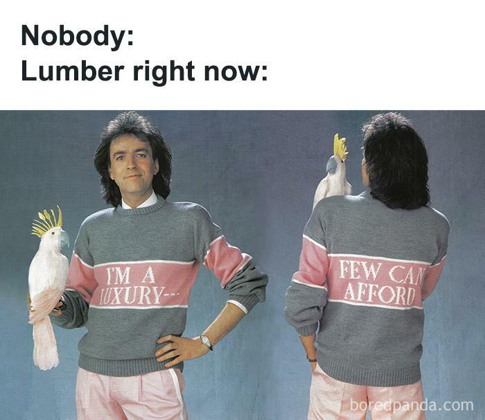 Man wearing a sweater with text "I'm a luxury... few can afford," holding a cockatoo. Humor about owning a home.