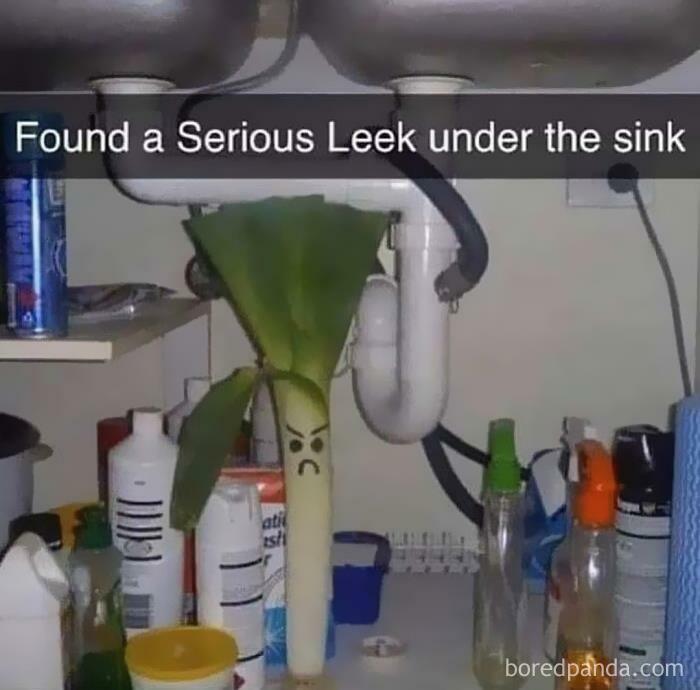 Angry leek with a drawn face under a sink surrounded by cleaning supplies, one of the worst examples of threatening food.