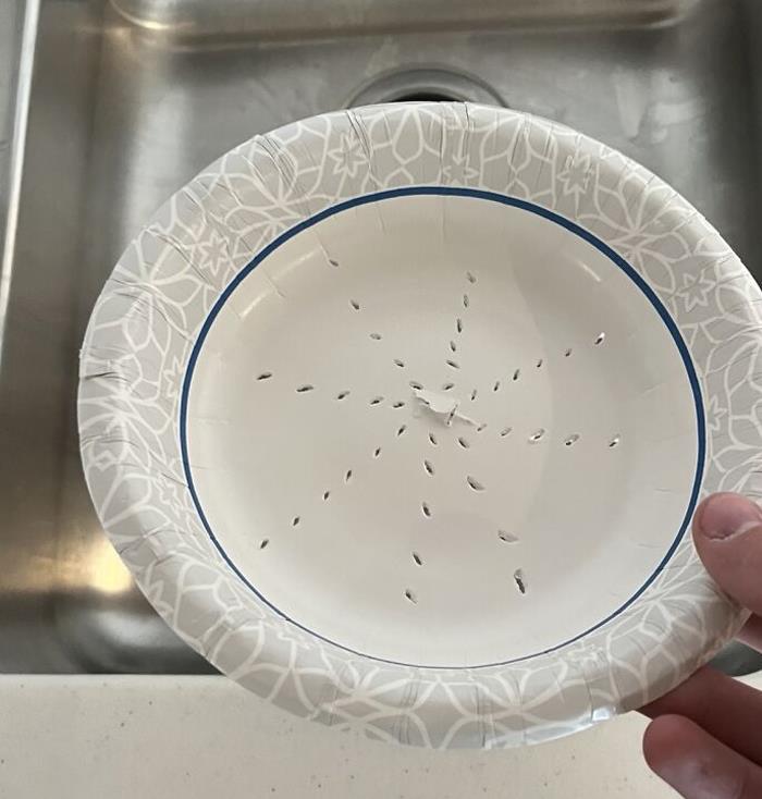 Made Pasta Before Realizing I Had No Strainer