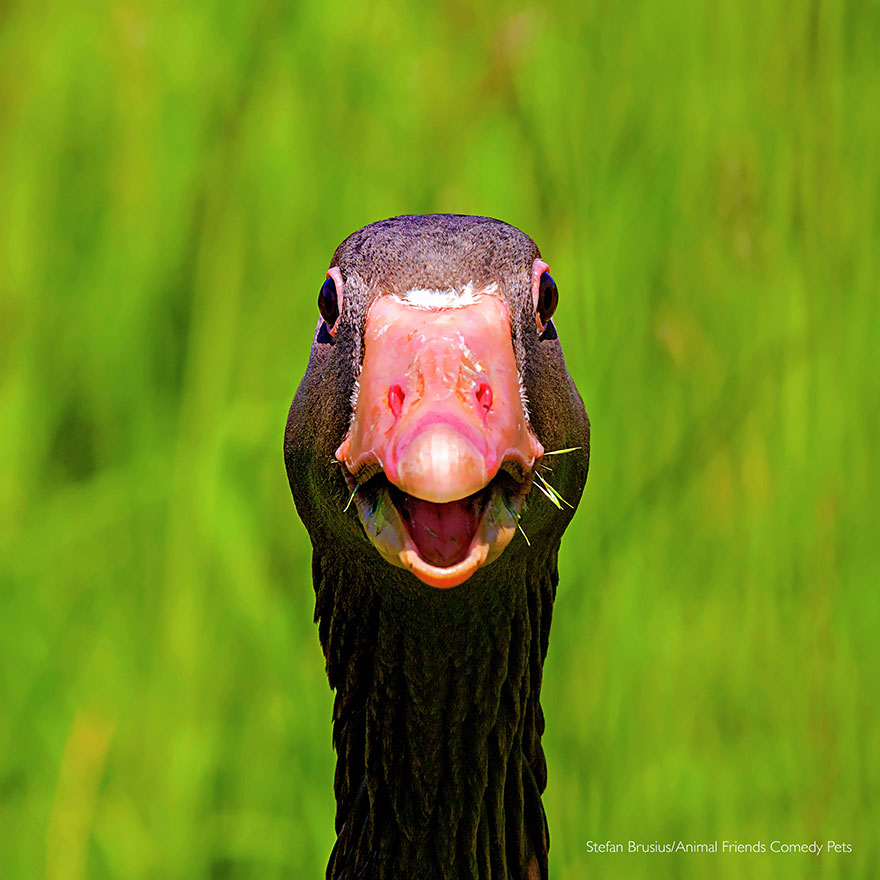 'i'm Talking To You' By Stefan Brusius