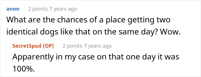 "Mentally, She Was Not There": Person Gets Their Dog Back From The Groomer, Realizes It’s Acting Weird But Keeps Living With It For Four Months Until The Truth Comes Out "Mentally, She Was Not There": Person Gets Their Dog Back From The Groomer, Realizes It’s Acting Weird But Keeps Living With It For Four Months Until The Truth Comes Out