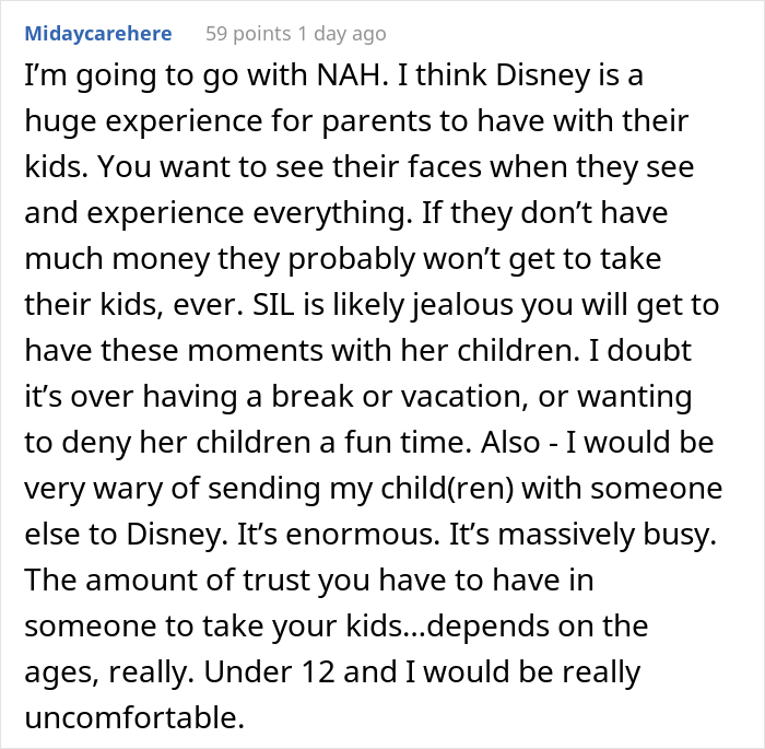 Kids' Mom Is Angry After Their Aunt Invites Everyone To Disney World Except Her And Husband - 22