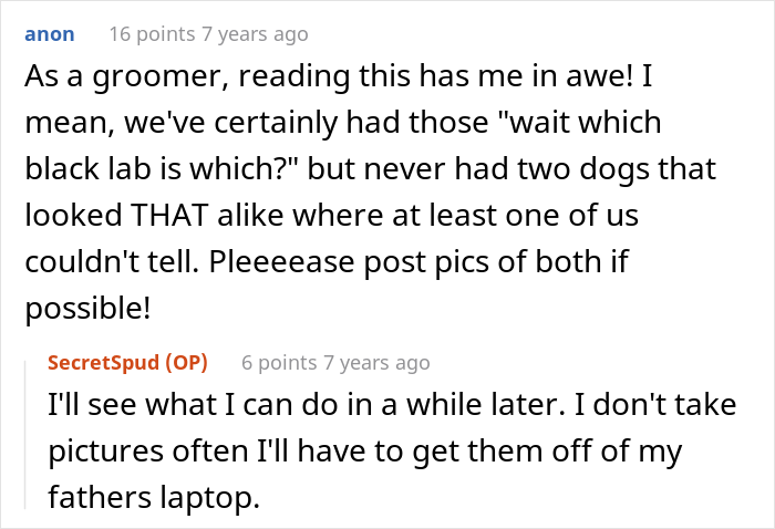 "Mentally, She Was Not There": Person Gets Their Dog Back From The Groomer, Realizes It’s Acting Weird But Keeps Living With It For Four Months Until The Truth Comes Out "Mentally, She Was Not There": Person Gets Their Dog Back From The Groomer, Realizes It’s Acting Weird But Keeps Living With It For Four Months Until The Truth Comes Out