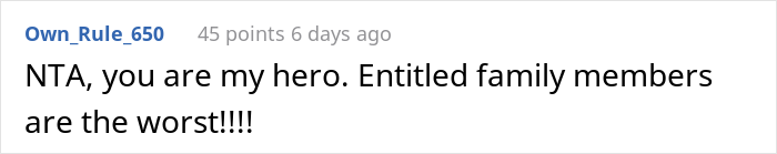 Woman Drops $4,000 For Pet-Free Family Vacation, SIL Tries To Sneak Her Dog Into Airbnb, Woman Cancels And Leaves SIL Stranded - 26