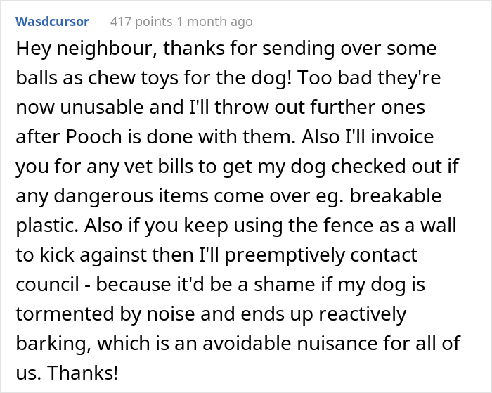Person Refuses To Put Up With Neighbor's Kid After One Of The Balls He's Constantly Kicking Over The Fence Hits Their Puppy - 15