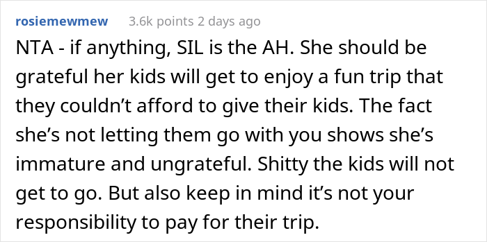 Kids' Mom Is Angry After Their Aunt Invites Everyone To Disney World Except Her And Husband - 12