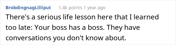 Employee Finally Sees The Bigger Picture 5 Years Later When It Clicks That His Supervisor Didn’t Ignore His Work, But Used It For Malicious Compliance - 15