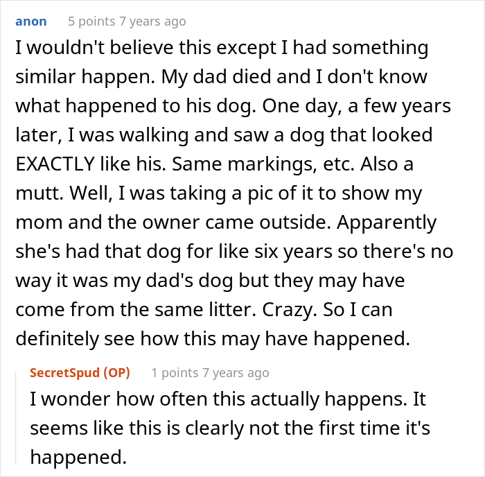 "Mentally, She Was Not There": Person Gets Their Dog Back From The Groomer, Realizes It’s Acting Weird But Keeps Living With It For Four Months Until The Truth Comes Out "Mentally, She Was Not There": Person Gets Their Dog Back From The Groomer, Realizes It’s Acting Weird But Keeps Living With It For Four Months Until The Truth Comes Out