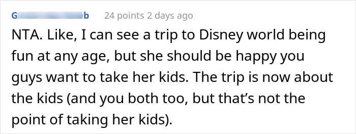 Kids' Mom Is Angry After Their Aunt Invites Everyone To Disney World Except Her And Husband - 27